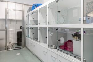 commercial build for a animal shelter