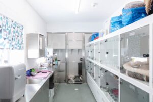 commercial build for a animal shelter