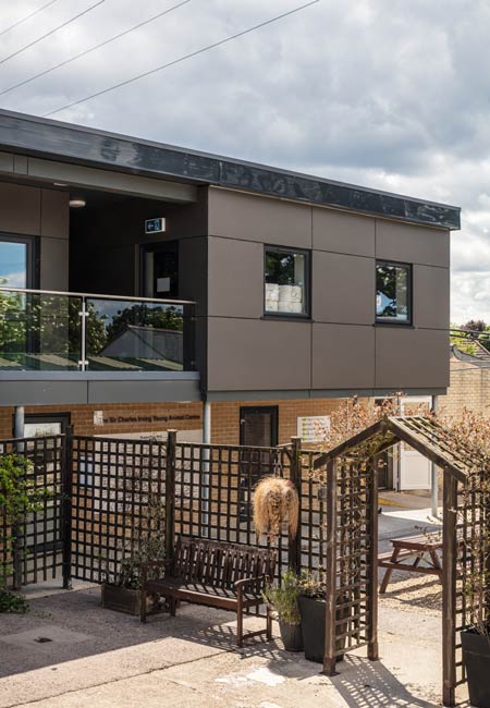 animal hospital in cheltenham